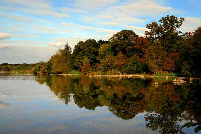 Hatfield Forest